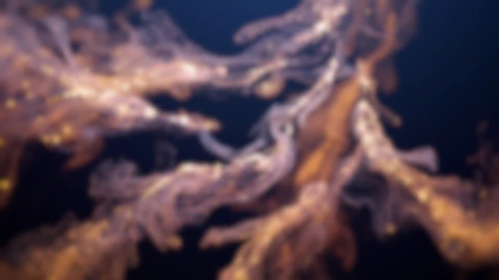 Getting Started with Particles in Cinema 4D image