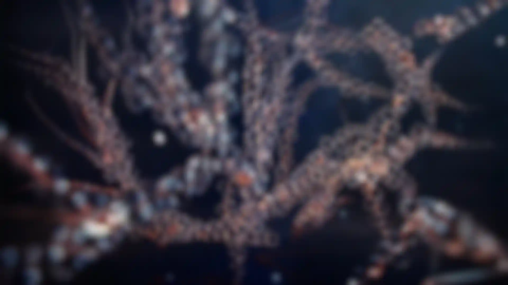Maxon Redshift